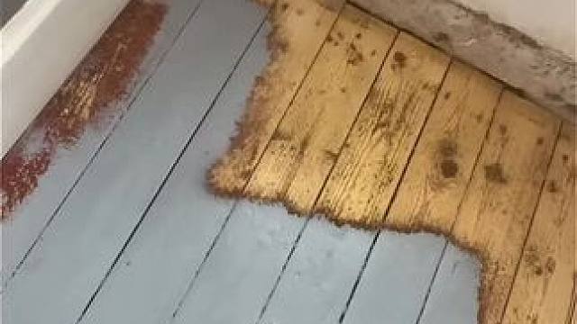 我发布了一个新视频，快来围观吧！