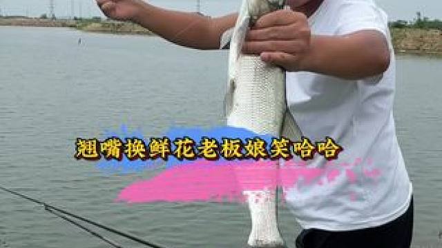 老板娘居然给我包一束这么漂亮的花….#2024dou来钓鱼 #以物换物