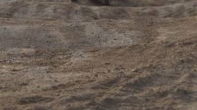 这是捅了虫子窝了吗？ 