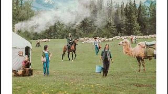 《彩虹布拉克》于适（演唱、作词、作曲）太强了 #于适 #我的阿勒泰