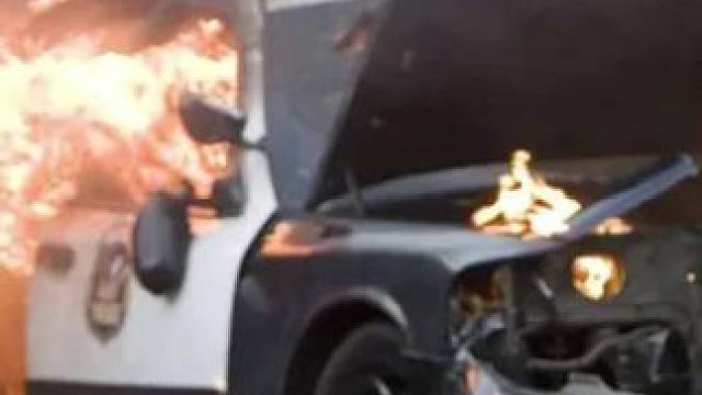 抢走了最爱，哪能惯着他