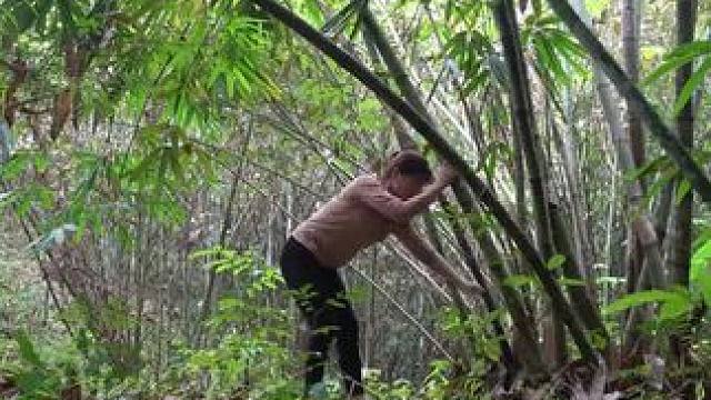 #野外生存技能 #野外生活纪录片 #农村原创视频 #野外生存 #解压视频