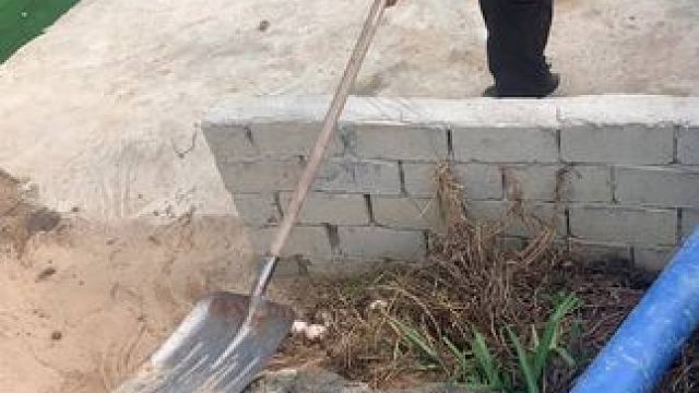 这铁铲如何，打着鳄鱼脑袋邦邦邦的响