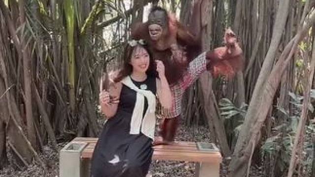 #国外视频分享 #猴子成精 #泰国网红猩猩