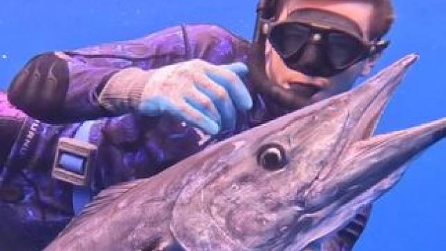 #国外视频分享 #好大一条鱼 #海洋生物