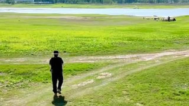 海岸线有了樱花在哪里#户外露营 #石家庄游玩推荐 #周末去哪玩 #骑行vlog #露营