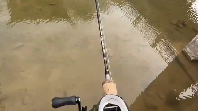 欢乐钓鱼大师HD高清版