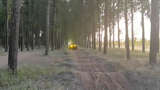 点头哈腰的就过来了[捂脸]