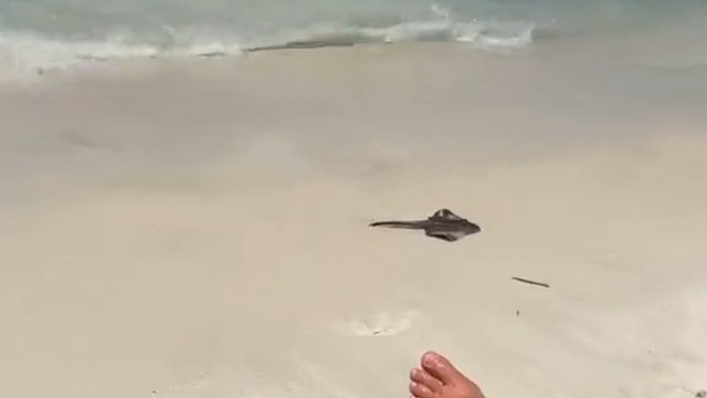 第一遍还真没反应过来