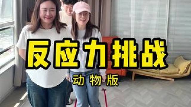 #办公室游戏 #我的逗比同事 #反应力 #反应力挑战