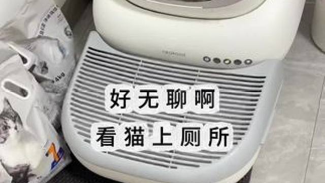 猫界教科书式教学上厕所 