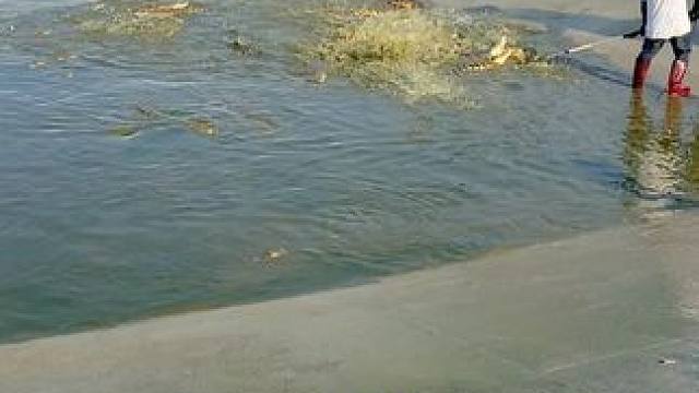 小小鳄鱼还想越狱 #鳄鱼 #鳄鱼养殖场 #鳄珍