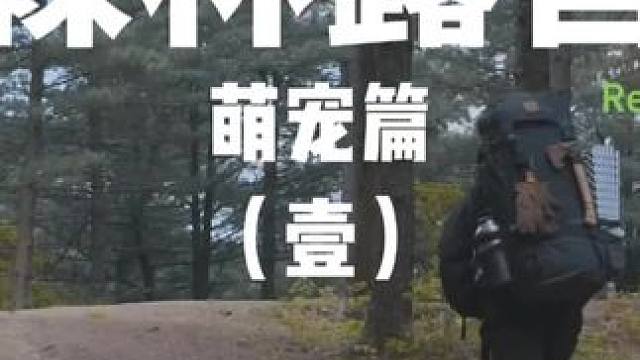 森林露营：萌宠篇（壹）
 #露营 #徒步 #萌宠 #户外露营 #上热门