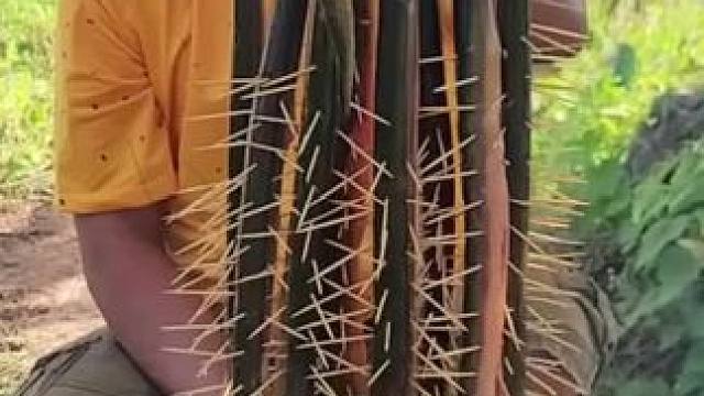 乡村美食 #农村生活 #农村美食 #乡村味道 #东南亚八面佛 #地方特色美食