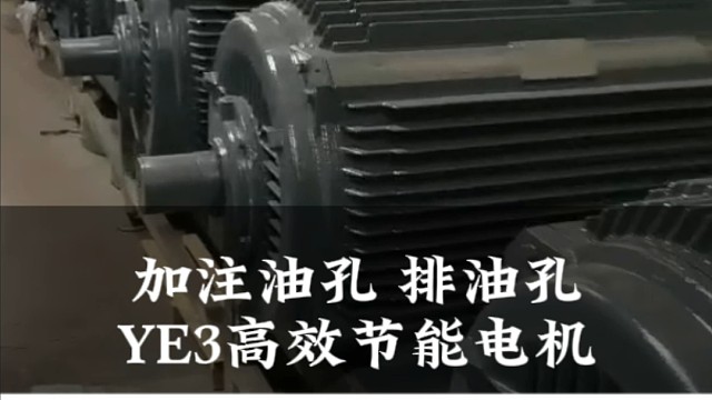 山东盛华加注油孔高效节能电机，电能转化率高，有需要赶快咨询