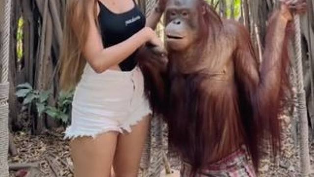 #国外视频分享 #猴子成精 #泰国网红猩猩