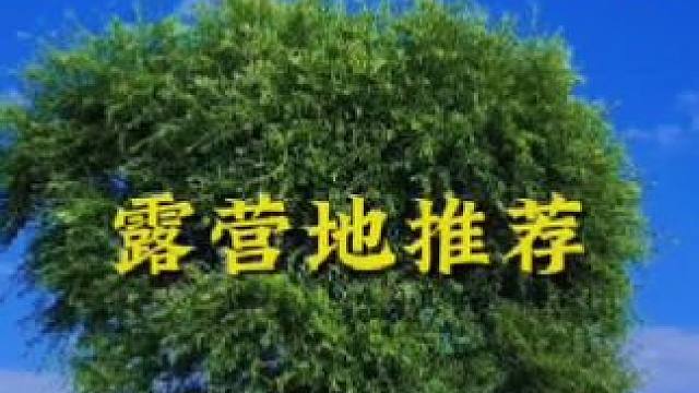 哈尔滨竟然有如此美景，适合烧烤、露营、更是钓鱼爱好者的圣地！哈市出发一小时即可到达，位置在视频最后，