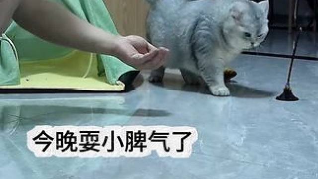 今晚蛋蛋耍小脾气了，就是不愿意吃维生素呢 