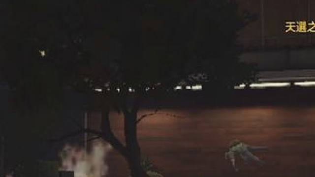 《国际服教会了我飞翔》
