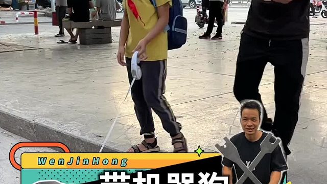 开超炫的车，遛超酷的狗！你们有见过这样子遛狗的吗？