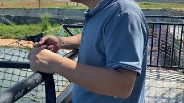 尊贵象征：鳄鱼皮带，身份的标志#鳄鱼 #鳄珍 #鳄鱼皮带