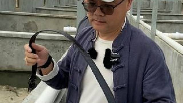 永恒经典：鳄鱼皮带的传奇故事#鳄鱼 #鳄珍 #鳄鱼皮带