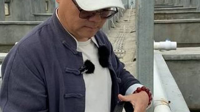 力量与优雅：鳄鱼皮带的完美融合#鳄鱼 #鳄珍 #鳄鱼养殖场