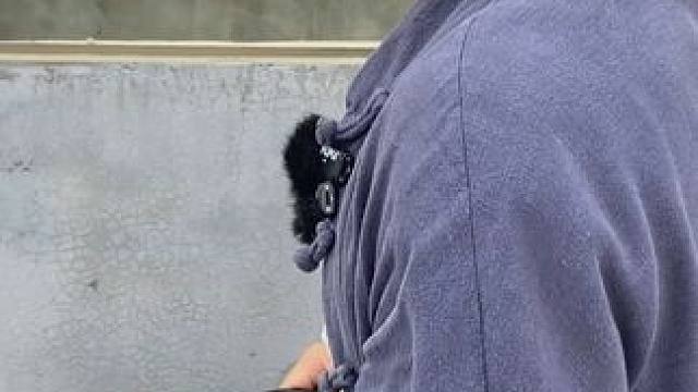 独特纹理，奢华体验：鳄鱼皮带系列#鳄鱼 #鳄珍 #鳄鱼养殖场