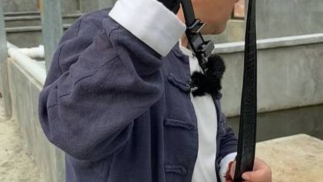 奢华之选：鳄鱼皮带的精致魅力#鳄鱼 #鳄珍 #鳄鱼养殖场