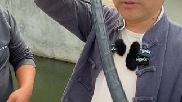 鳄鱼皮带不来一根吗#鳄鱼 #鳄珍 #鳄鱼皮带