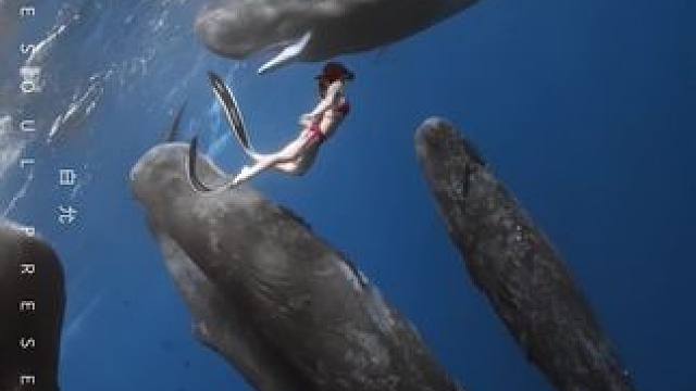 这怎么能不叫做人生瞬间呢
#画面太美 #不加滤镜的大自然 #奇妙的海洋生物 #住进风景里