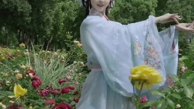 《春颂》完整版挑战成功！ “春颂时宜 百事从欢”