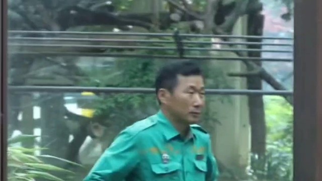 老姜看着他的宝贝们眼里全是爱~辉宝看到了爷爷，也赶紧爬起来去跟爷爷打招呼~