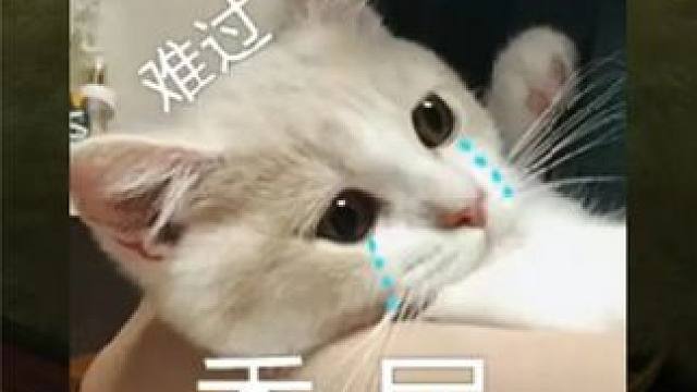 关于合区第一天被牢9小时小丑的碎碎念 #命运方舟 #寻找命运方舟最有才的你