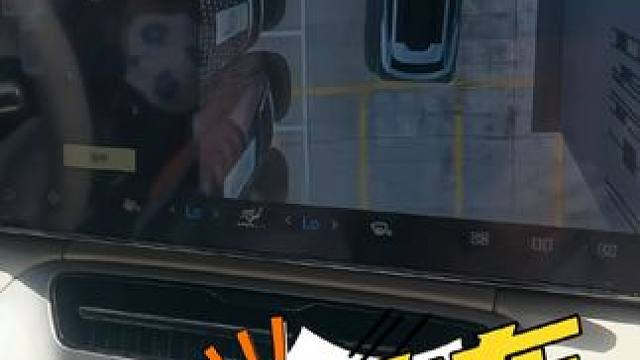 自动泊车，我算是服了 #自动驾驶 #青岛必去的景点 #2024青岛车展