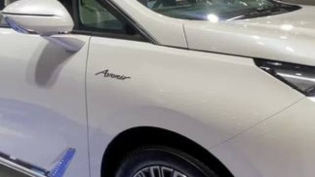 晕 太好看了吧 #青岛必去的景点 #2024青岛车展