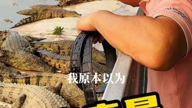 这究竟是谁的员工那么勇猛 #鳄鱼 #鳄鱼养殖场 #鳄珍