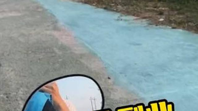 有兄弟想来我们这喂鳄鱼吗 #鳄鱼 #鳄鱼养殖场 #鳄珍