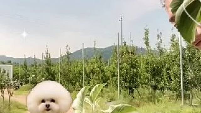 #田间地头走一走