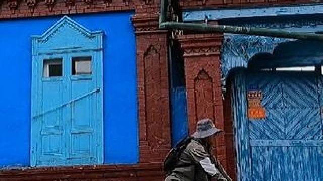 #床车生活 #穷游 #露营 #伊宁 #猫