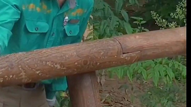 姜宝看着大孙女满脸的幸福感~