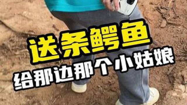 好无聊给那个小姐姐送只鳄鱼吧 #鳄鱼 #鳄鱼养殖场 #鳄珍