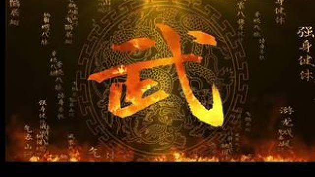 #武术 #素材分享 #背景视频 #武术视频#武友圈