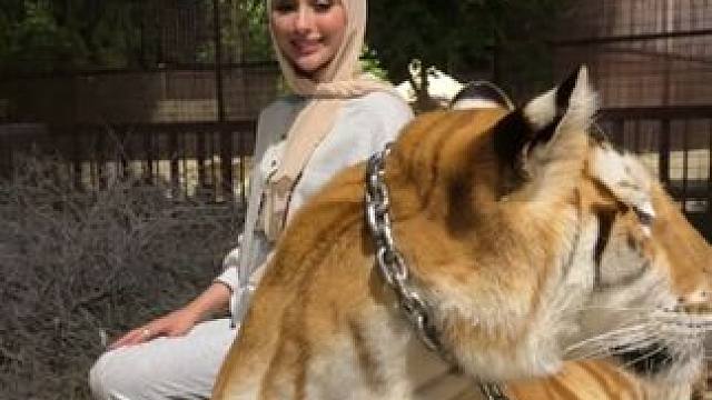 阿拉伯土豪的宠物大猫 #国外视频分享 #奇妙的动物 #老虎