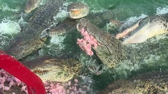 喂点肉给大鱼吃吃…