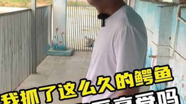 我抓了这么久鳄鱼，就不能享受享受吗 #鳄鱼 #鳄鱼养殖场 #鳄珍