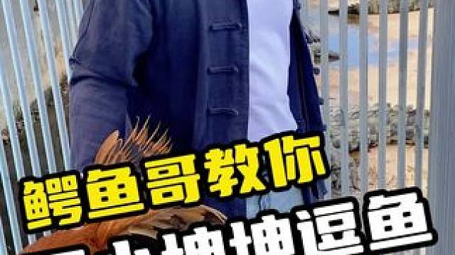 你为什么要欺负我们家哥哥 #鳄鱼 #鳄鱼养殖场 #鳄珍 #坤坤