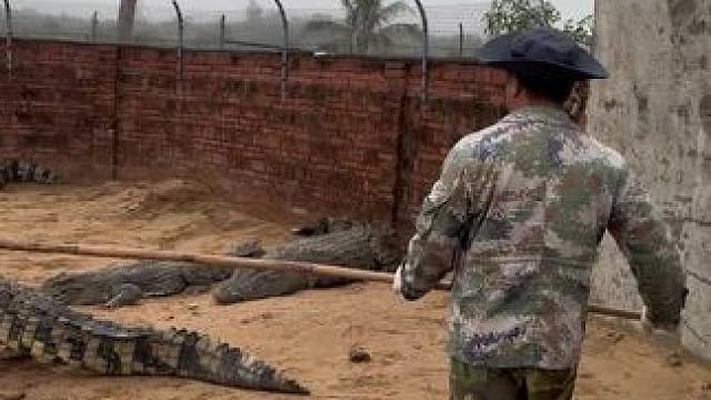 好大一条鱼……