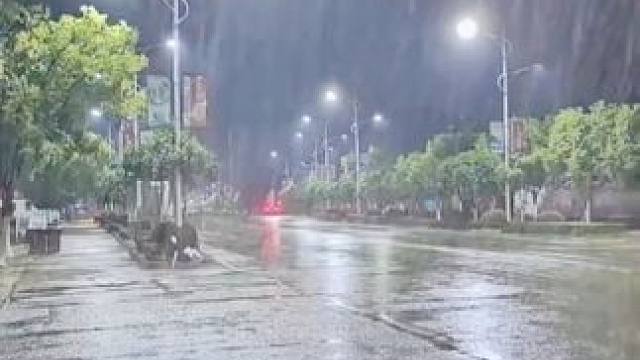 #创作灵感   防水加厚款鞋套方便又实用，孩子上学都要备上，一次性防水加厚款鞋套#鞋套  #鞋套加厚