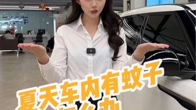 夏天车内有蚊子怎么办？#生活小妙招 #防蚊必备 #用车知识 你们看懂最后的绝招了吗？